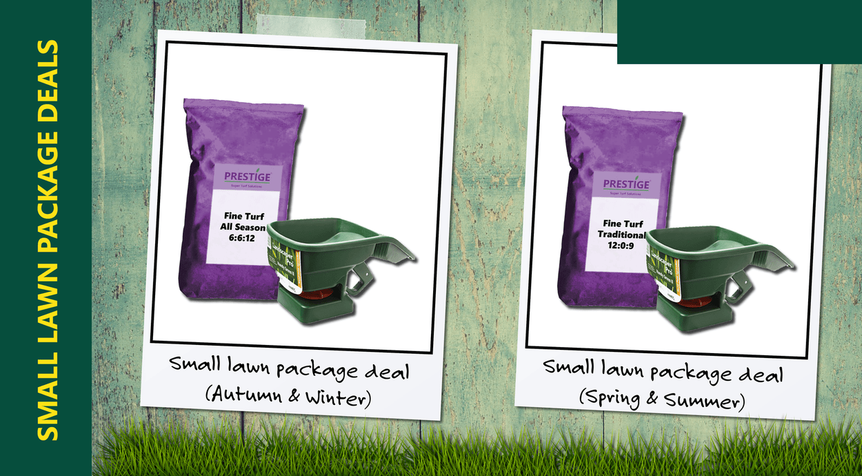 Small Lawn Package Deal Promo