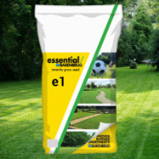 Essential E1
