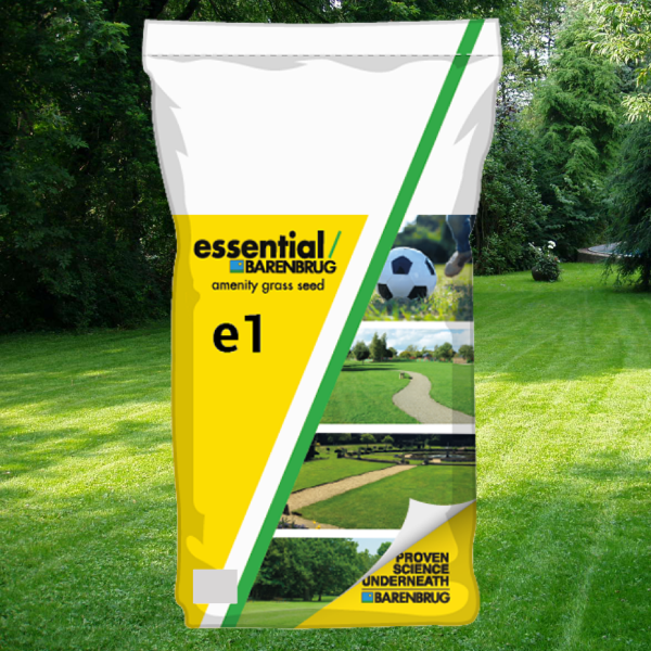 Essential E1