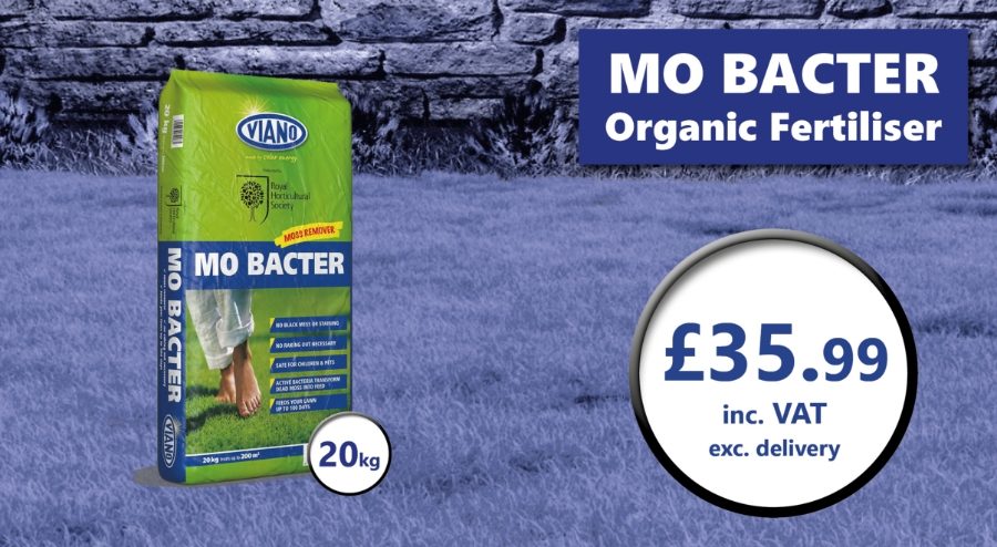Mo Bacter Promotion