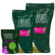 Green Velvet - The Perfectionist List Photo