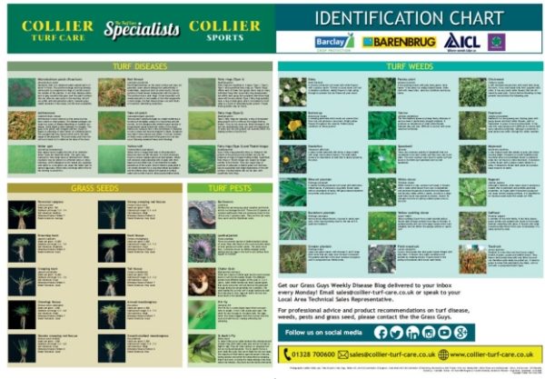 Identification Wall Chart | Ideal for Golf, Bowls, Sports Clubs