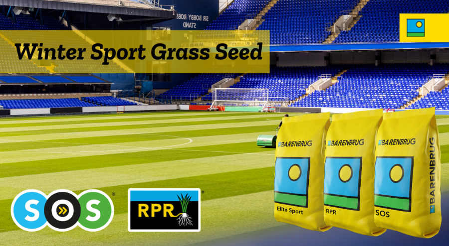 Winter Sport Grass Seed Banner Ad