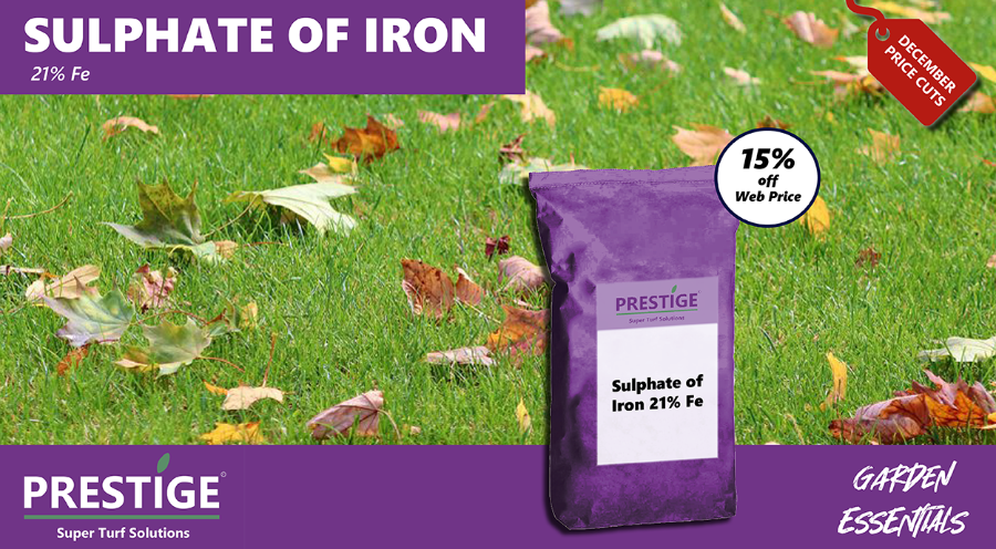 Sulphate Of Iron Promo