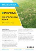Microdochium Patch Disease Fact File