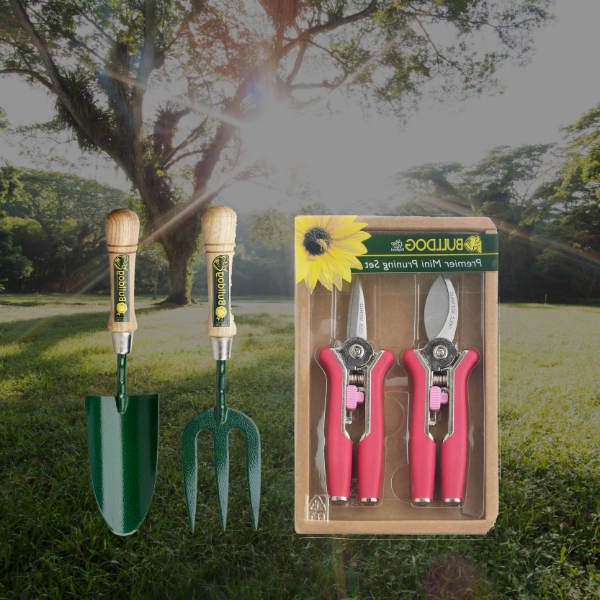Hand Tools Package Deal (Pink Pruning Set)