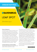 Leaf Spot Disease Fact File