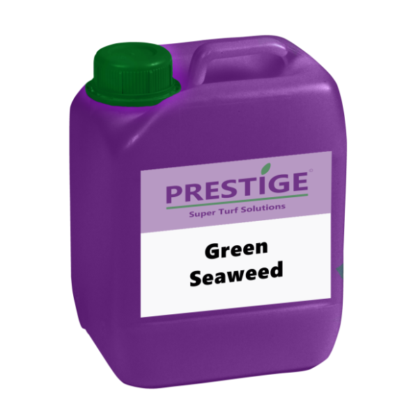 Prestige Green Seaweed 