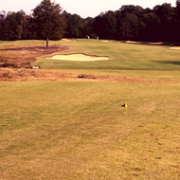 picture of golf fairway