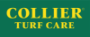 CTC Logo Yellow Green