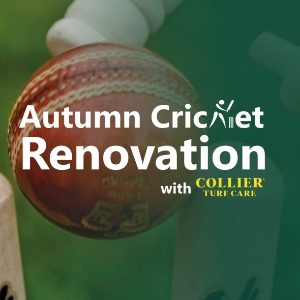 Autumn Cricket Renovations
