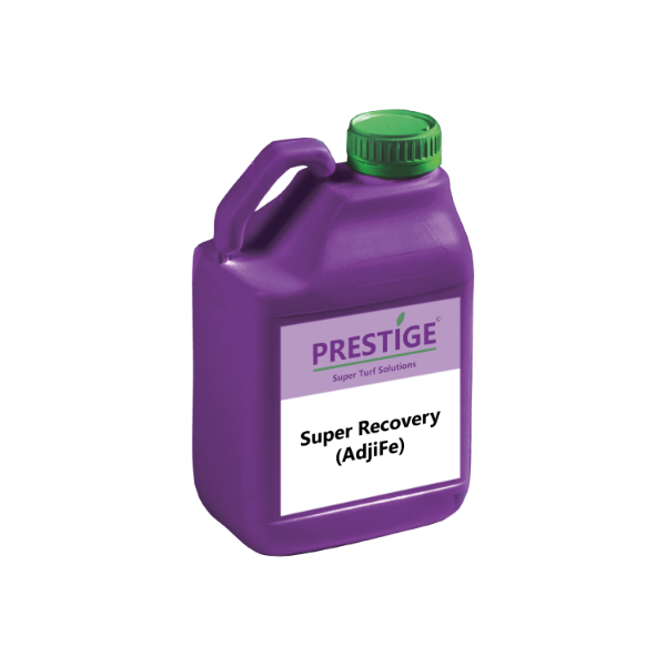 Prestige Super Recovery (AdjiFe)